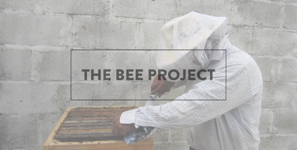 THE COMSA BEE PROJECT – One Village Coffee