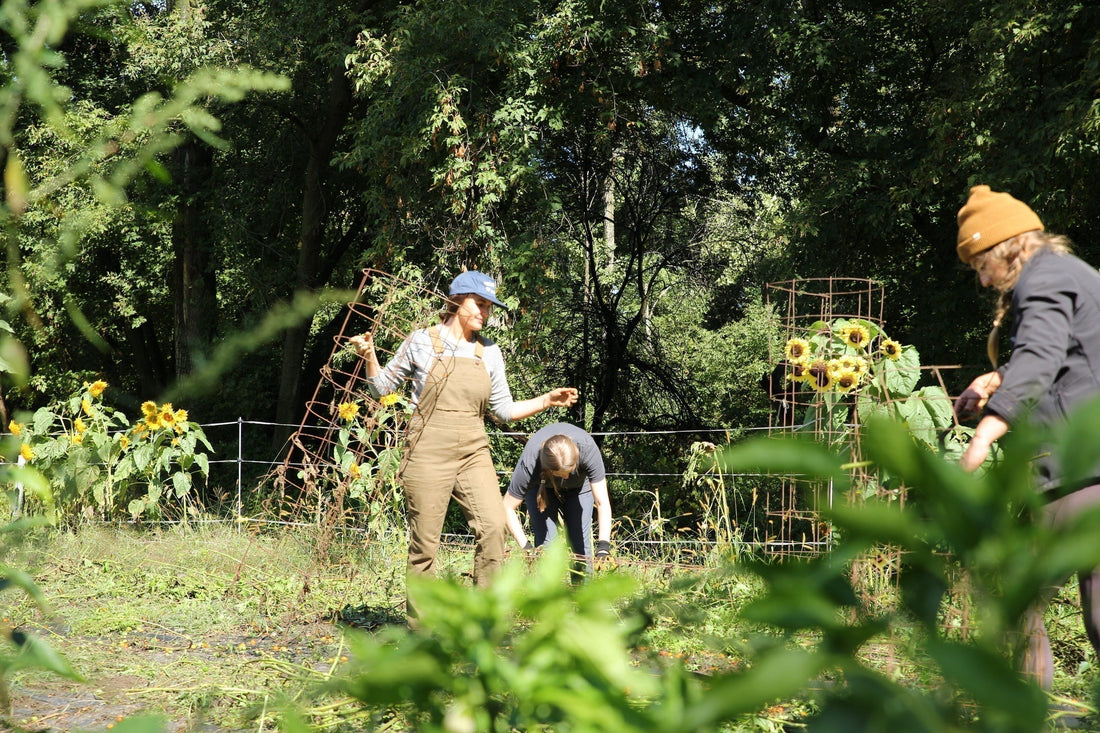 Pictured: Staff of 1% For the Planet volunteering at the intervale center in Vermont