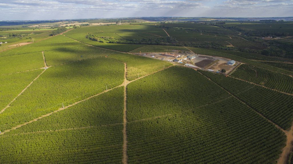 image of Fazenda Bom Jesus