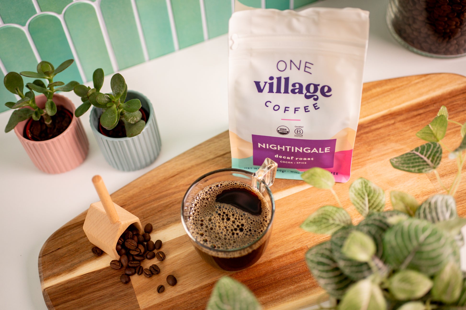 Image of Nightingale coffee bag in kitchen with plants.