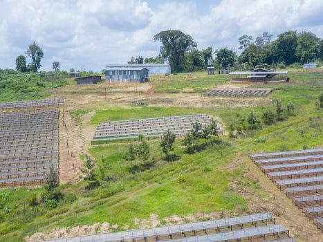 image of Masha drying beds